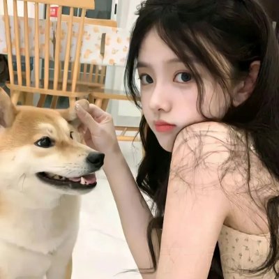 走进炮火中 在线观看